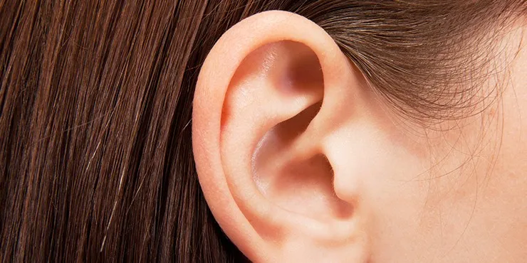 医療業界で大注目の耳つぼを採用